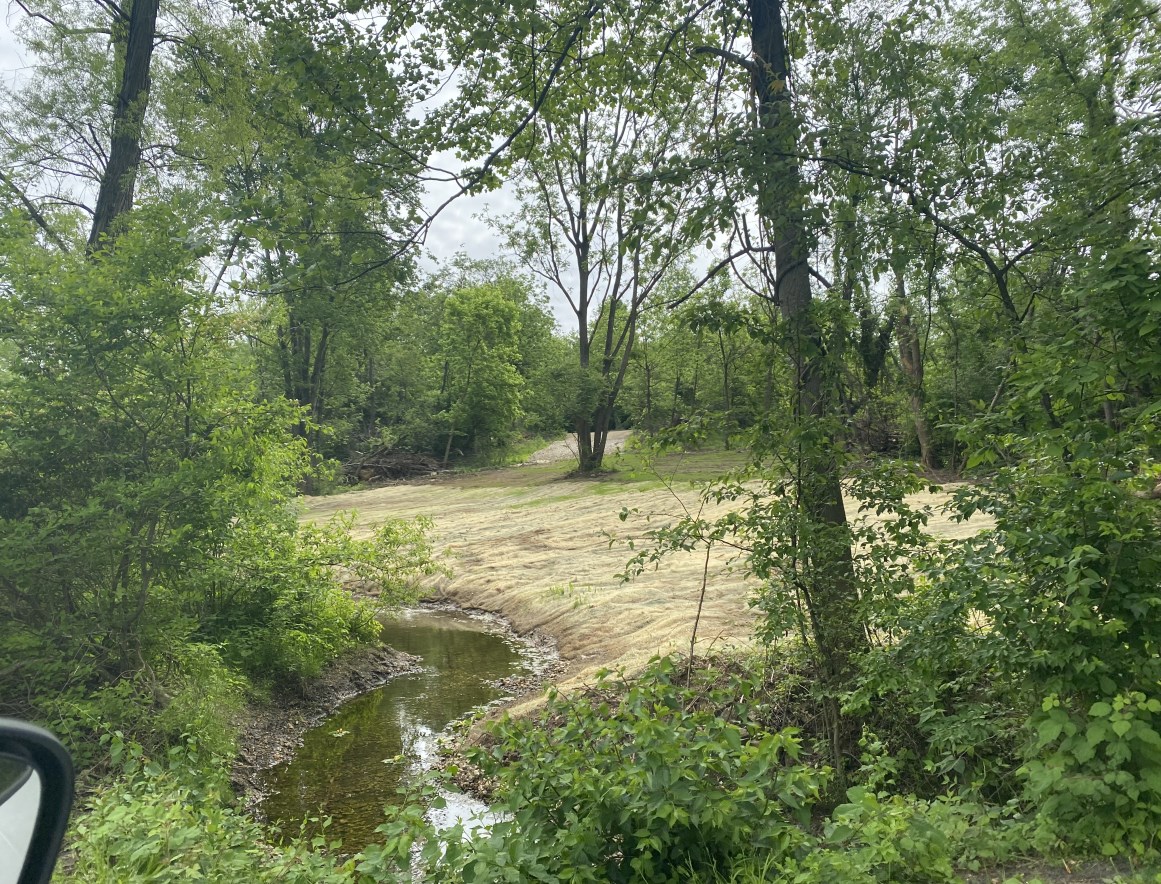 After contaminated sediment was removed and the drainage ditches were restored.